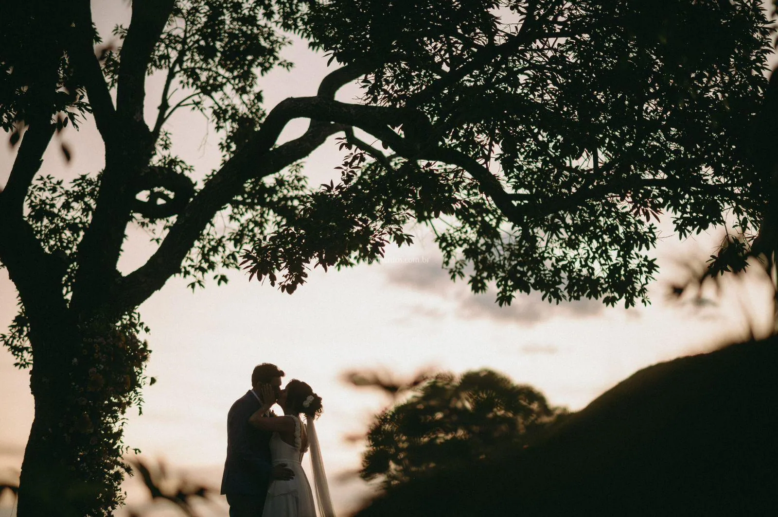 Casal se beijando em silhueta sob os galhos da árvore, com o céu claro do pôr do sol
